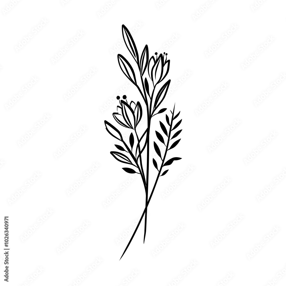 Fototapeta premium Flowers Element Vector