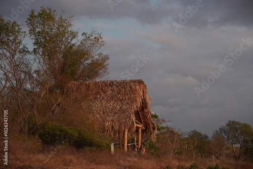 Nosara beach hut