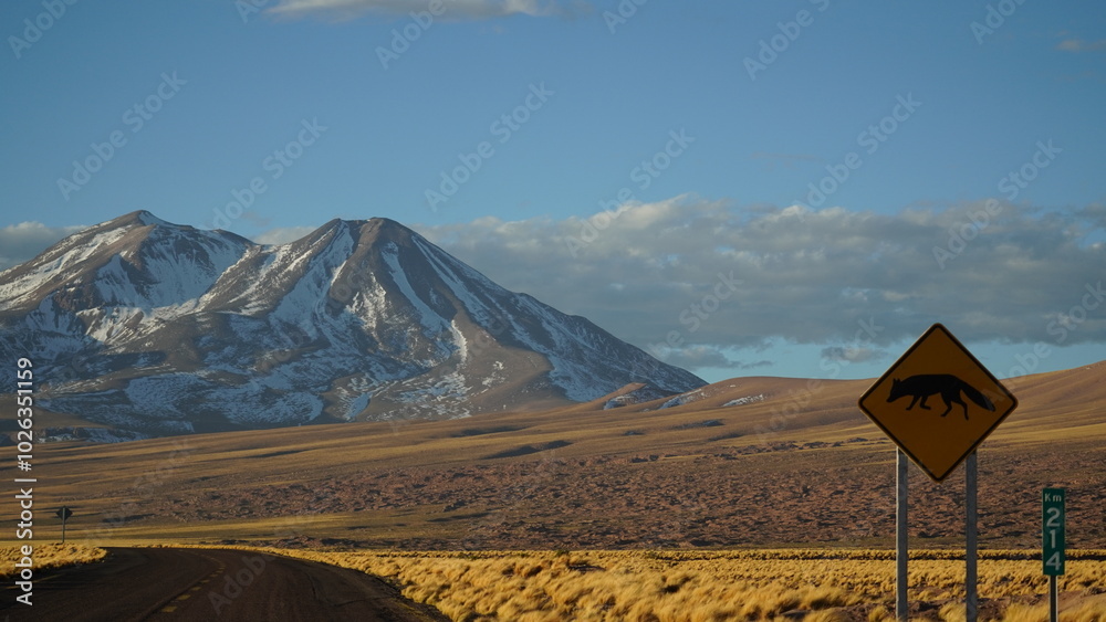 Fototapeta premium Fox sign alert of Atacama desert Altiplano