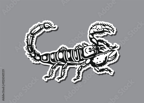 Hand drawing sketch scorpion. Predatory animal in vintage engraving style. Vector illustration
