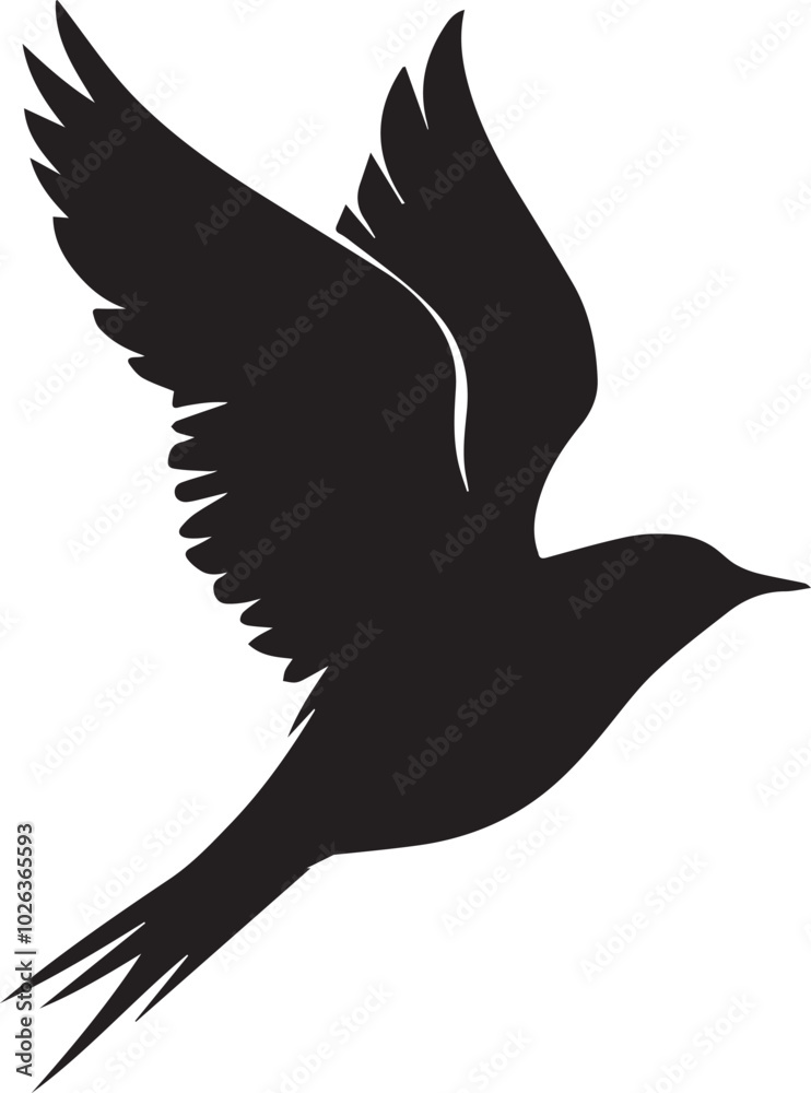 Fototapeta premium Vector bird black silhouettes white background
