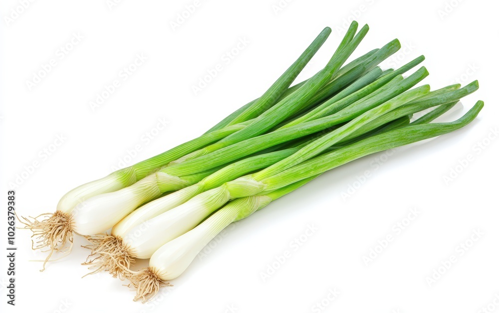 Young green onion isolated stock photo on white background Young green onion isolated stock photo on white background