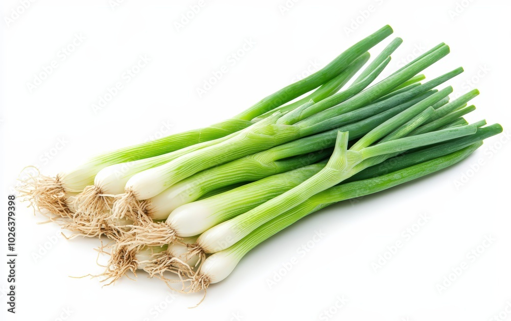 Young green onion isolated stock photo on white background Young green onion isolated stock photo on white background