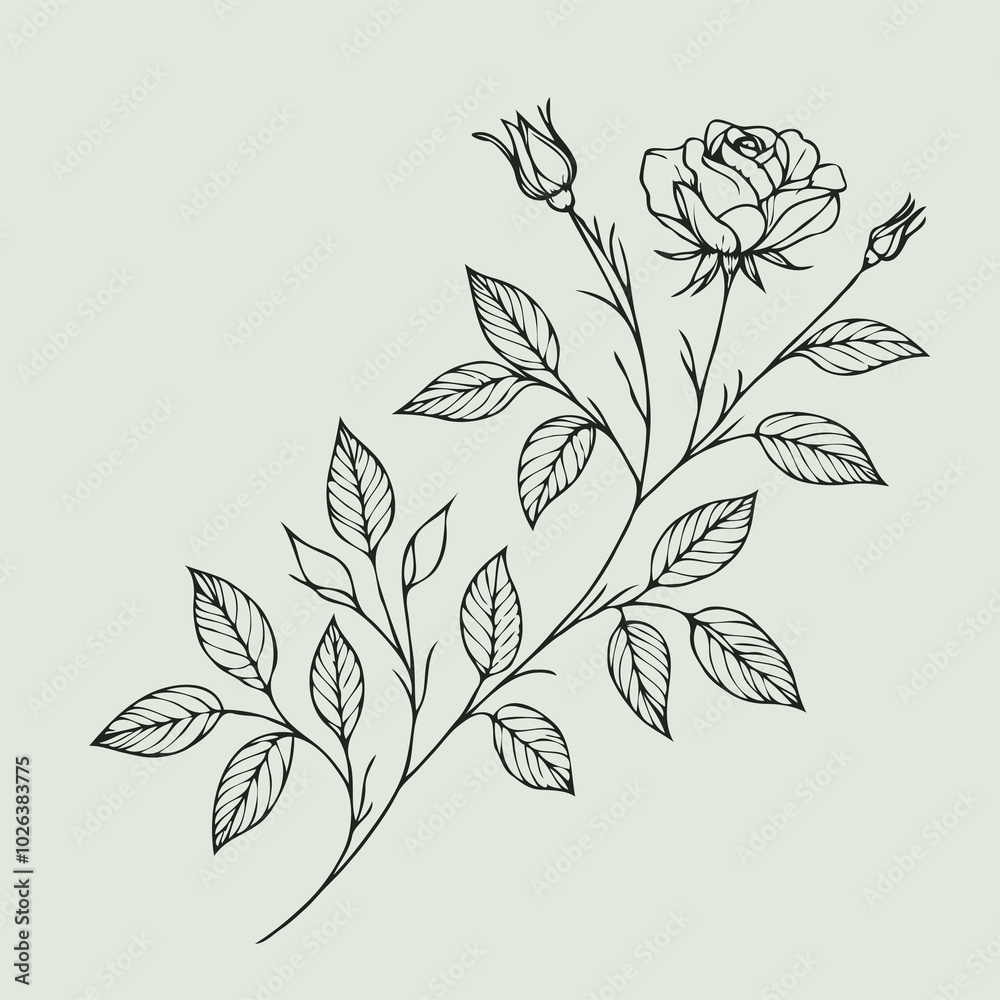 rose sketch, roses flower
set of flowers vector
illustration outline of a flower
black and white line art, lineart rose sketch, roses flower
set of flowers vector
illustration outline of a flower
black and white line art, lineart