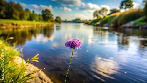 One small purple flower and riverside background in wide-angle view