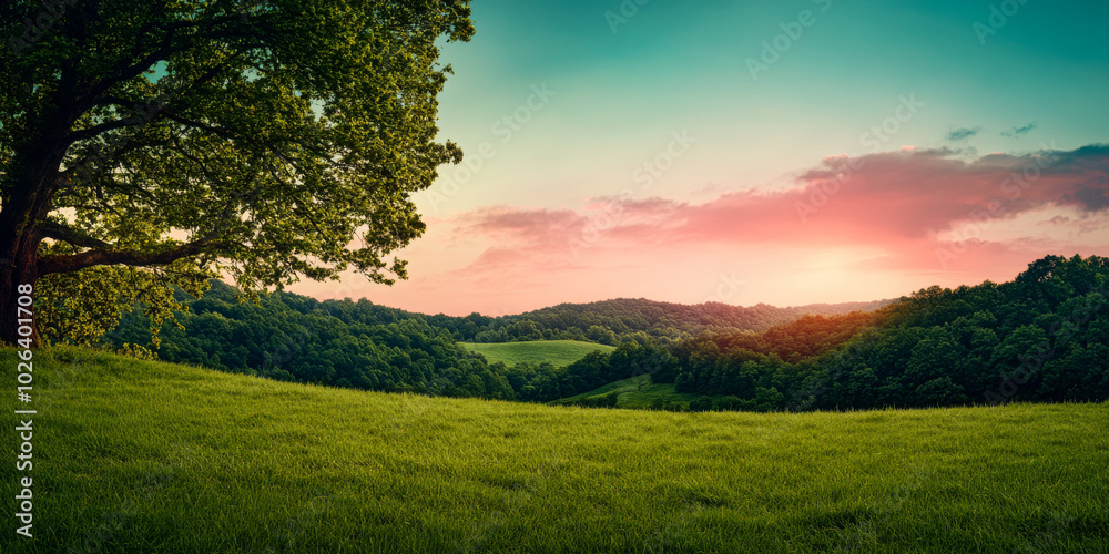 Obraz premium Golden sunset over lush green hills with a solitary tree in the foreground