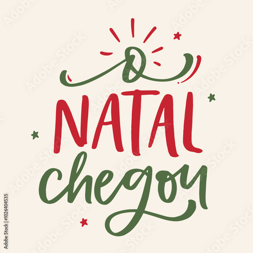O natal chegou. The christmas arrived in brazilian portuguese. Modern hand Lettering. vector.