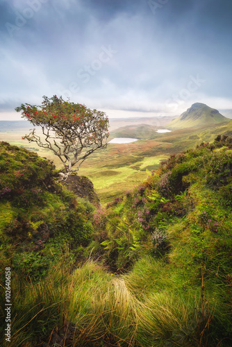 Breathtaking panoramic view taken at The Quiraing on the Isle of Skye, Scotland, UK. Dramatic Scottish landscapes