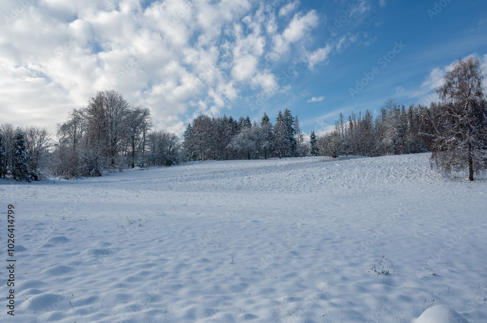 Winter landscape with a lot of snow, some trees and a blue sky Winter landscape with a lot of snow, some trees and a blue sky