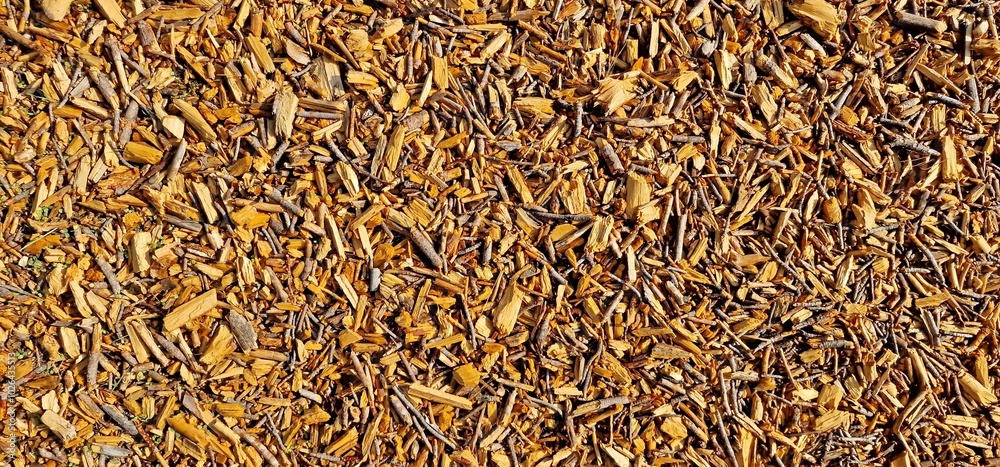 background texture wood chips shavings sticks background texture wood chips shavings sticks