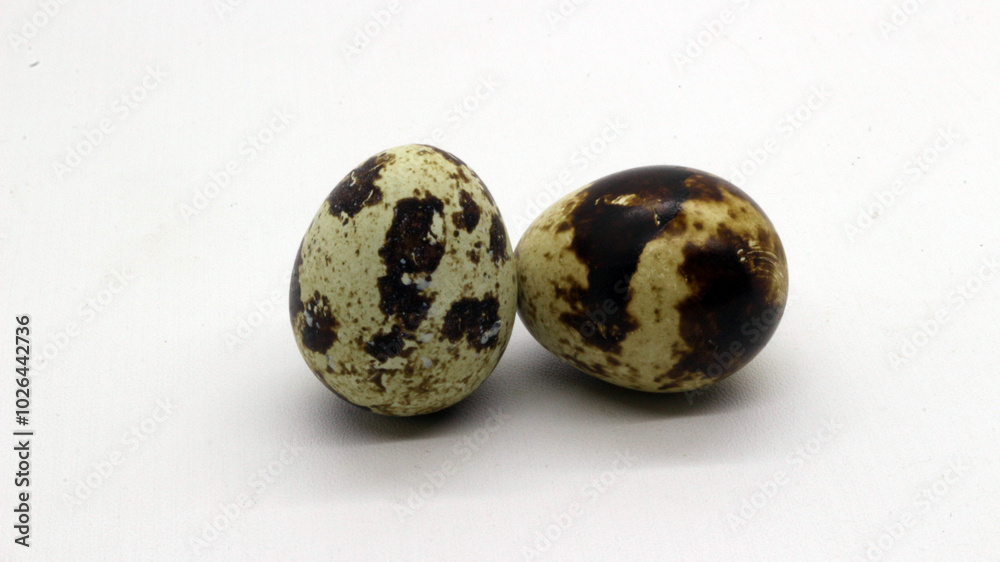 Quail eggs with nice patterns Quail eggs with nice patterns