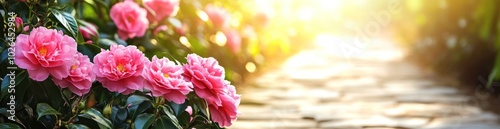 A sunlit garden path lined with blooming pink flowers, creating a serene atmosphere.