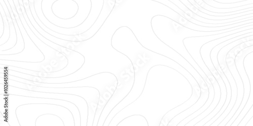 modern geometric line background patterns with various curved stains, Background of the topographic map with black lines, White wave paper curved reliefs abstract geometric pattern with stains.