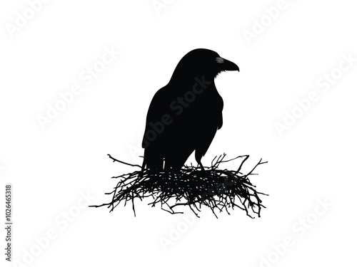 Crow's Nest Silhouette Collection – Spooky Halloween Bird Designs