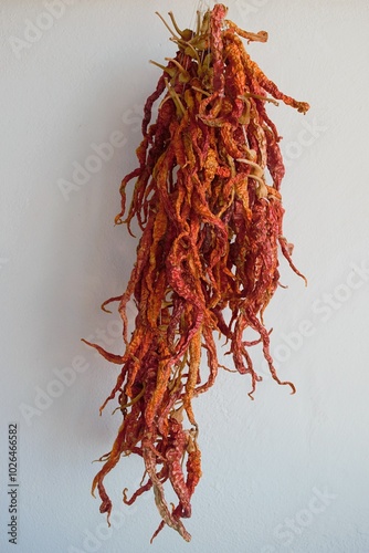 Dried chili pappers on a white background photo