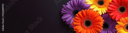 A vibrant arrangement of colorful flowers against a dark background.