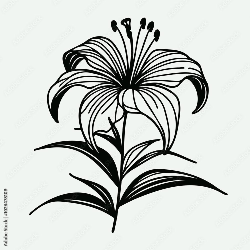 Obraz premium lilies sketch, lily flower illustration outline of a flower black and white line art, lineart set of contour flower, line art of flowers, leaves