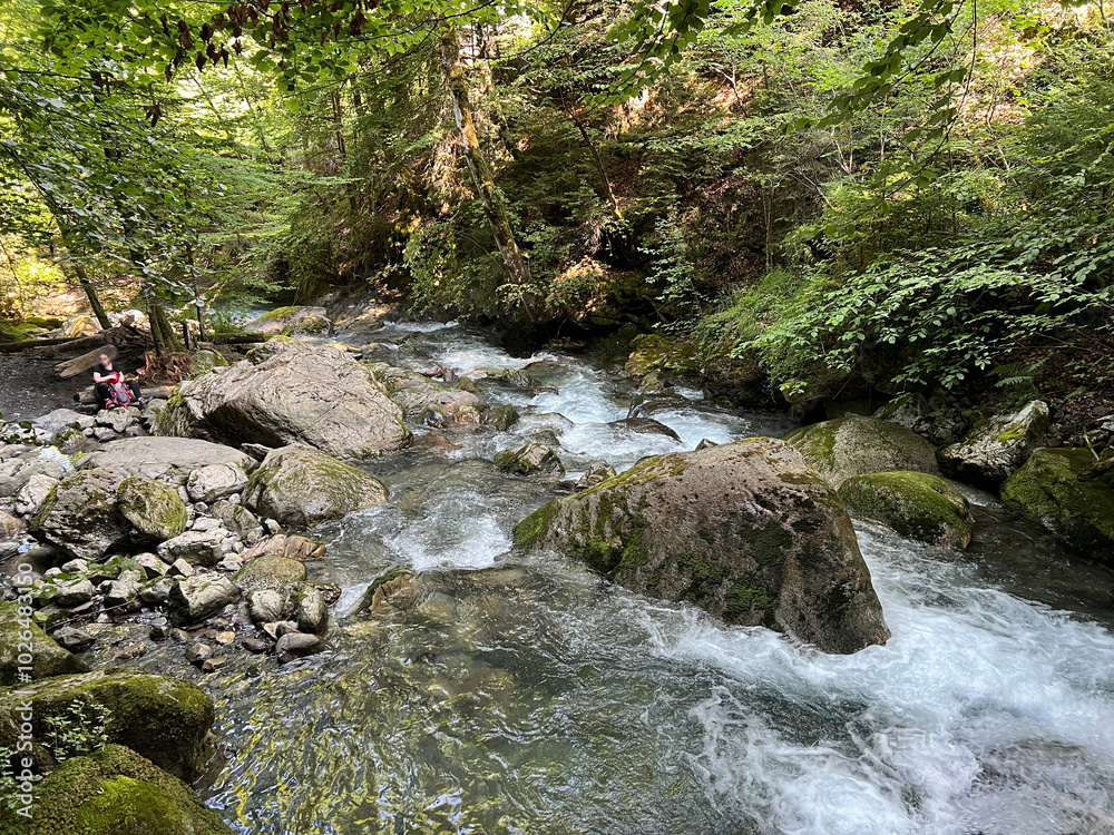The Giessbach stream above Lake Brienz (Brienzersee) and in the eponymous nature park - Canton of Bern, Switzerland (Kanton Bern, Schweiz)