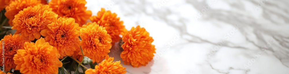 A vibrant arrangement of orange marigold flowers on a marble surface. A vibrant arrangement of orange marigold flowers on a marble surface.