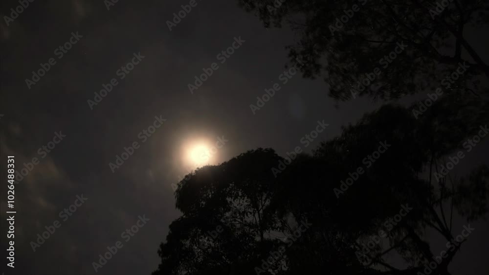 The moon timelapse at night, the video of the clouds moving at night The moon timelapse at night, the video of the clouds moving at night