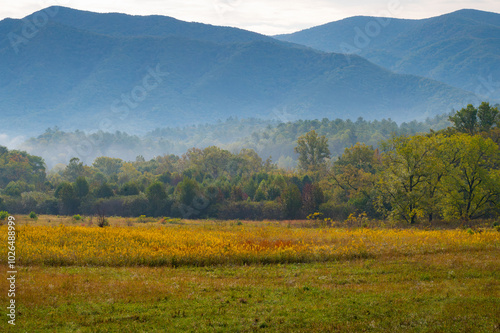 Fototapeta Naklejka Na Ścianę i Meble -  Early morning panorama of the Great Smoky Mountains in Cade's Cove, Tennessee, Great Smoky Mountains