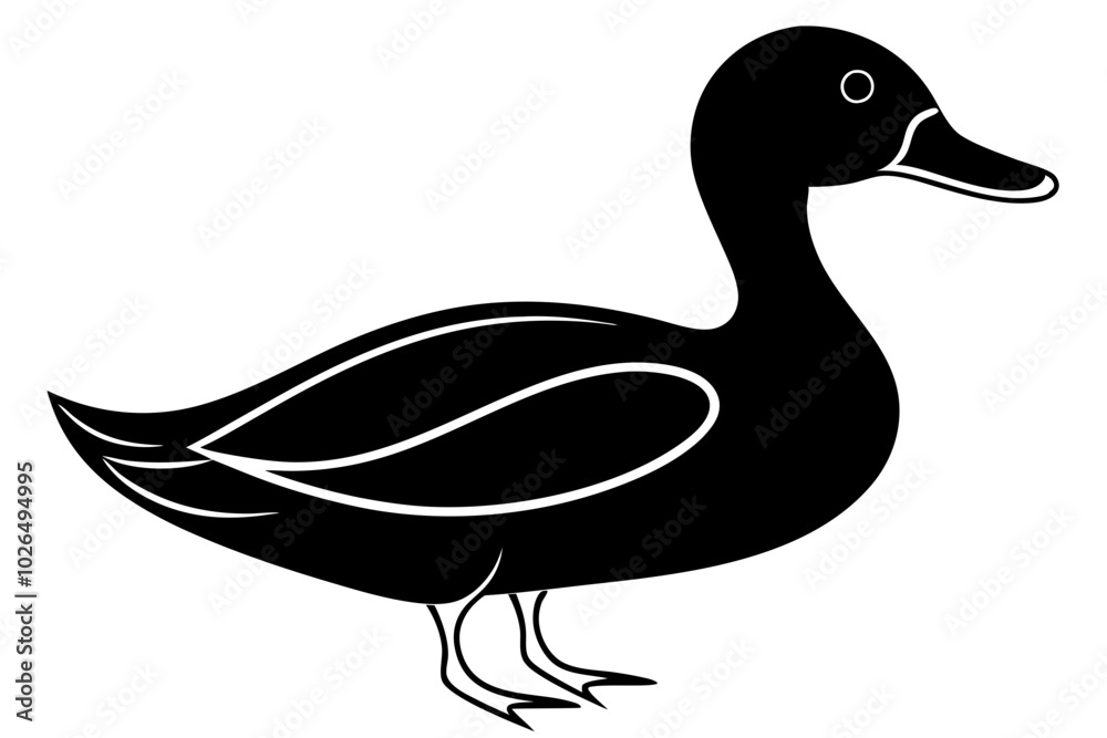 Duck Silhouette, Duck black silhouette Vector illustration Duck Silhouette, Duck black silhouette Vector illustration