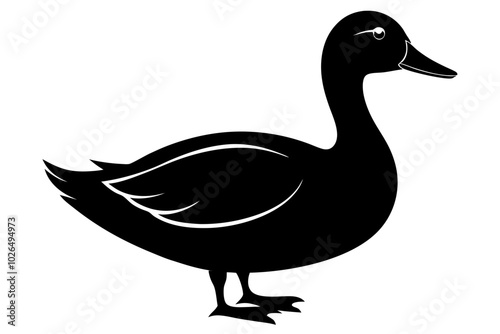 Duck Silhouette, Duck black silhouette Vector illustration