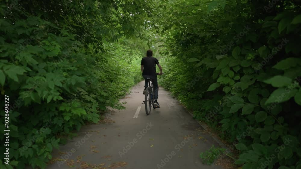 Back view of young boy in black top and grey trouser riding his bike along a paved path with white markings, surrounded by dense greenery with leaves littered on the walk path Back view of young boy in black top and grey trouser riding his bike along a paved path with white markings, surrounded by dense greenery with leaves littered on the walk path
