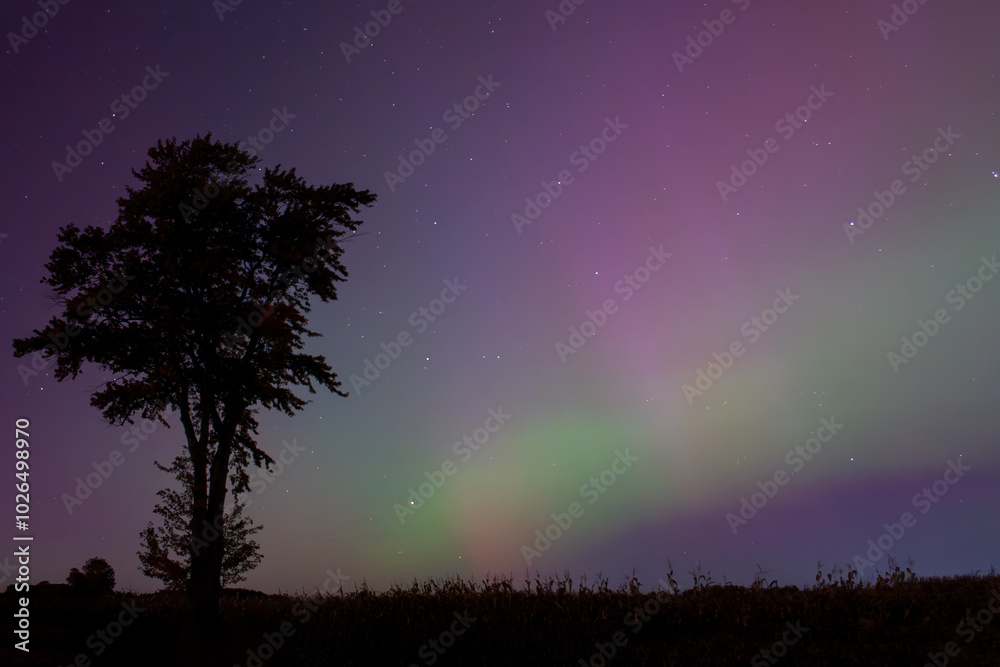 Northern Lights 03 Northern Lights 03