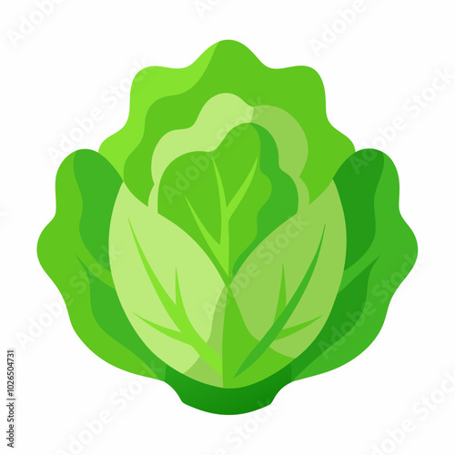 Lettuce Lactuca sativa creative vector design