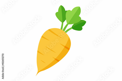 Parsnip pestinaca sativa creative vector design