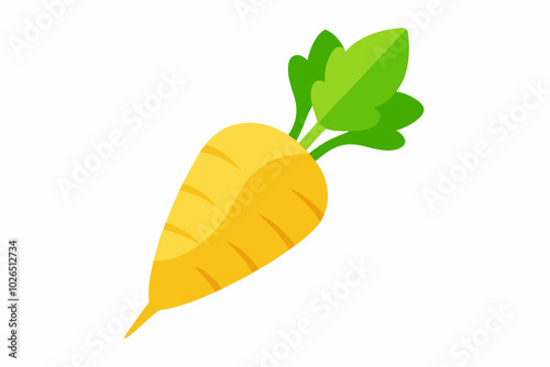 Parsnip pestinaca sativa creative vector design