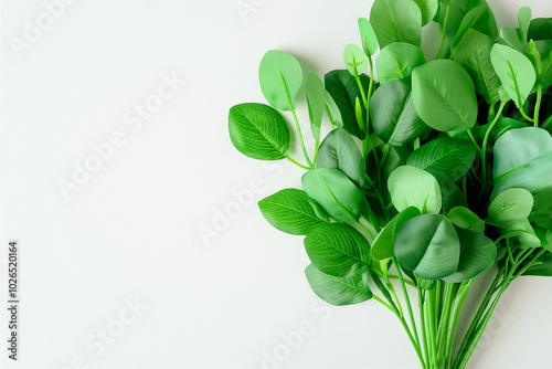 Captivating greenery bursts forth with a variety of lush leaves, showcasing their vivid shades against a clean white background, ideal for various design applications