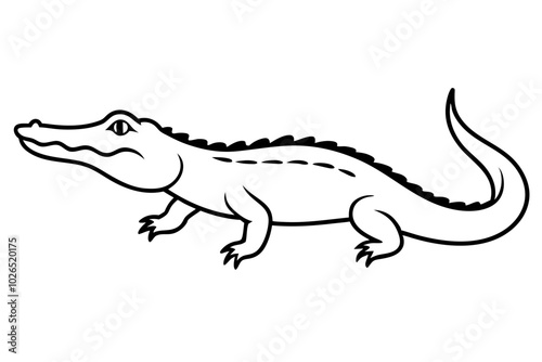 crocodile isolated on white