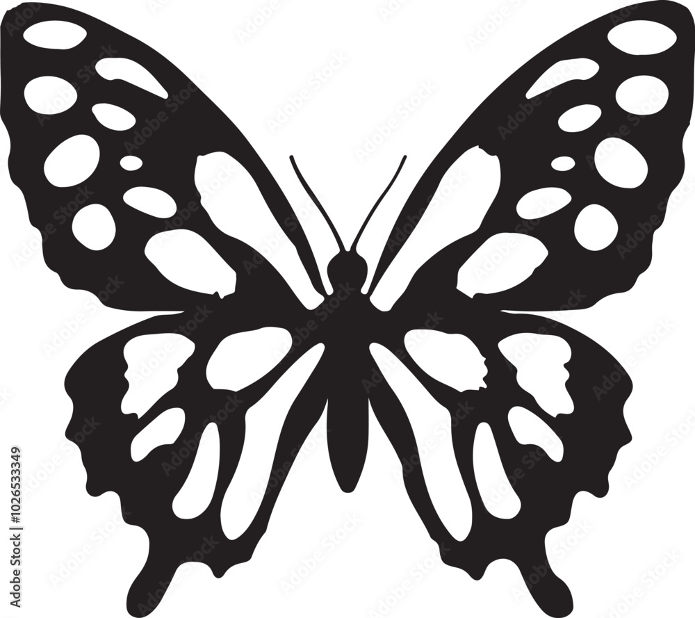 butterfly isolated on white background butterfly isolated on white background