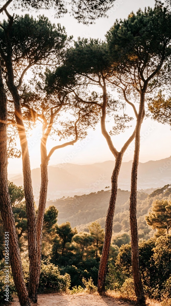 A breathtaking view of a sun setting over a mountain range, seen through tall trees. A breathtaking view of a sun setting over a mountain range, seen through tall trees.