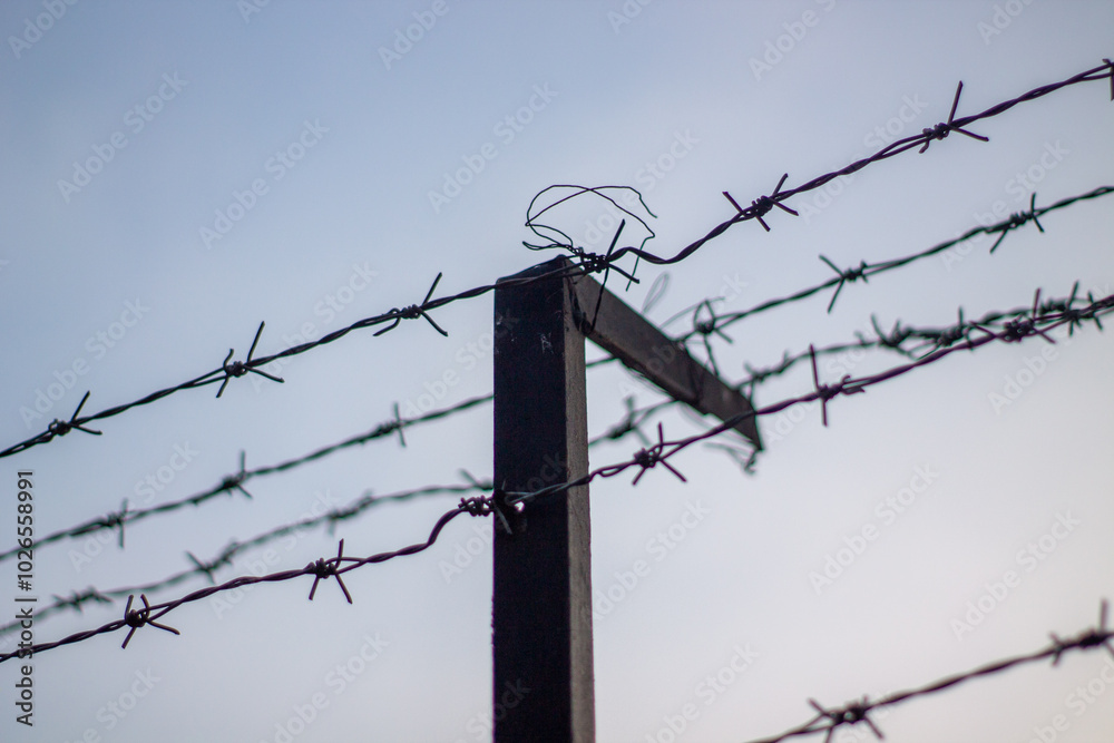 Sharp barbed wire is installed on the fence as a barrier and security. Sharp barbed wire is installed on the fence as a barrier and security.