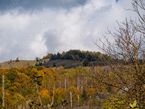 Village Transcarpathia region scenic Sunny Carpathian mountains view Ukraine, Europe. Autumn countryside rural landscape. Fall spruce pine trees lush foliage Eco Local tourism hiking Recreational area