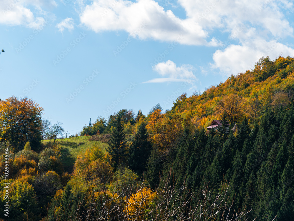 Village Transcarpathia region scenic Sunny Carpathian mountains view Ukraine, Europe. Autumn countryside rural landscape. Fall spruce pine trees lush foliage Eco Local tourism hiking Recreational area Village Transcarpathia region scenic Sunny Carpathian mountains view Ukraine, Europe. Autumn countryside rural landscape. Fall spruce pine trees lush foliage Eco Local tourism hiking Recreational area