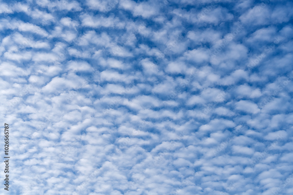 white clouds covering the blue sky white clouds covering the blue sky