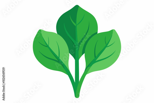 Perpetual spinach Beta vulgaris subsp. vulgaris minimalistic vector design on a white background 