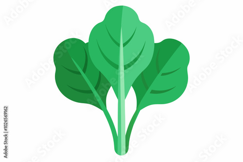 Perpetual spinach Beta vulgaris subsp. vulgaris minimalistic vector design on a white background 