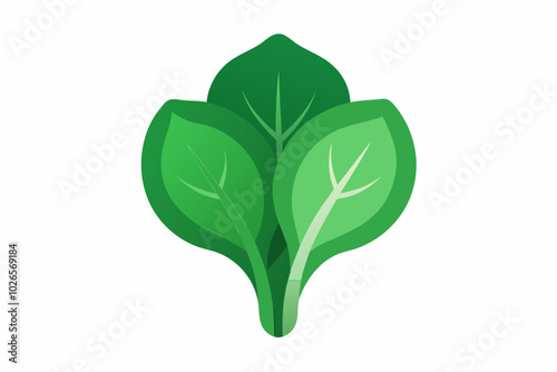 Perpetual spinach Beta vulgaris subsp. vulgaris minimalistic vector design on a white background 