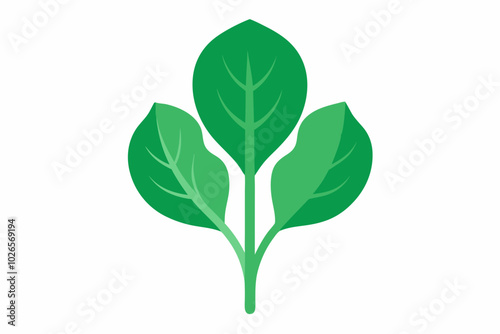 Perpetual spinach Beta vulgaris subsp. vulgaris minimalistic vector design on a white background 