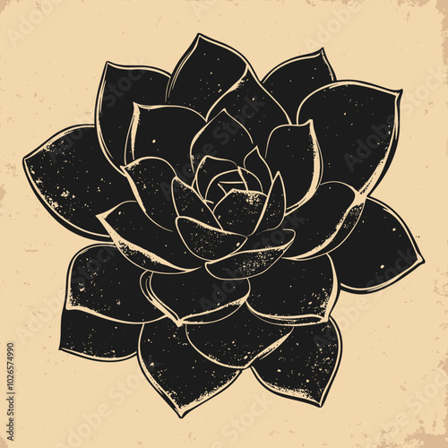 Echeveria Photocopy Effect with Grunge Texture, Y2K Aesthetic