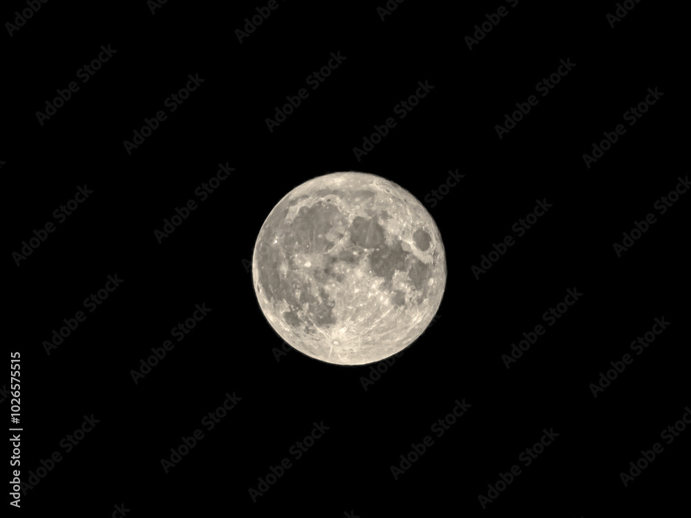 Full Moon In Night Sky Full Moon In Night Sky