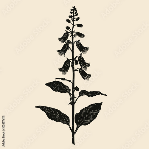 Foxglove Photocopy Effect with Grunge Texture, Y2K Aesthetic