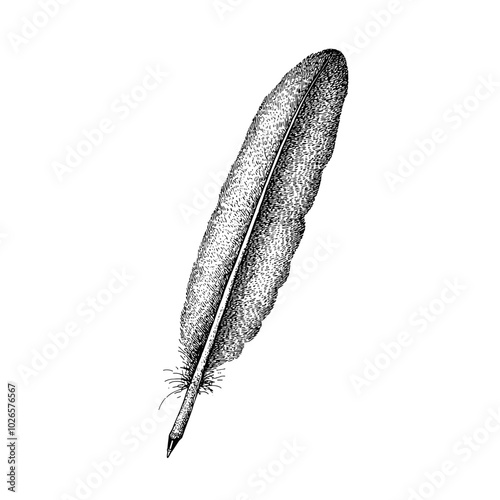 Quill Pen with photocopy effect and grunge stippling texture. Y2K vector illustration for posters and t-shirts.