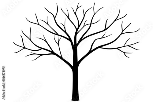 Tree without leaves silhouette | vector silhouette illustration on white background