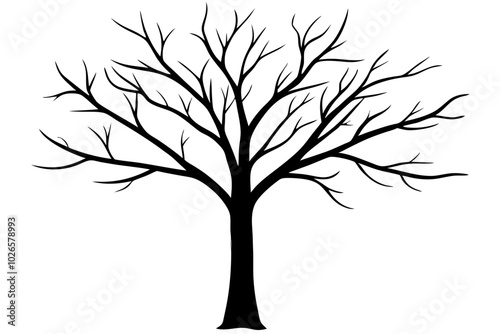 Tree without leaves silhouette | vector silhouette illustration on white background